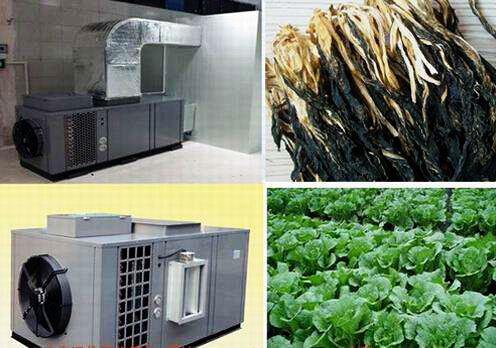 什么是食品烘干房？